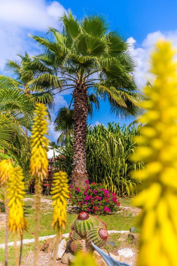 Orient Bay Palm Court Residence 4 Stars Quarter of Orleans Esterno foto